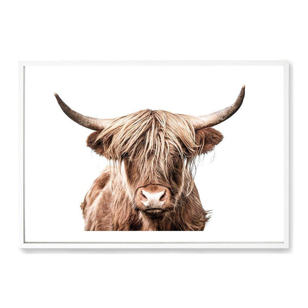 Harper The Highland Cow-The Paper Tree-animal,bull,cattle,cow,harper,highland bull,highland cattle,highland cow,landscape,nature,orange,premium art print,TAN,wall art,Wall_Art,Wall_Art_Prints