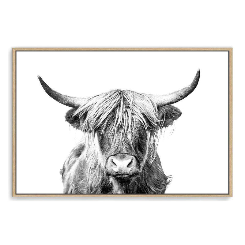 Harper The Highland Cow II-The Paper Tree-animal,black & white,bull,cattle,cow,harper,highland bull,highland cattle,highland cow,landscape,monochrome,nature,premium art print,wall art,Wall_Art,Wall_Art_Prints