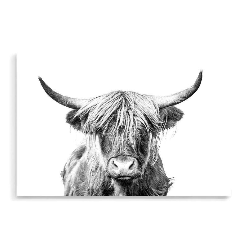 Harper The Highland Cow II-The Paper Tree-animal,black & white,bull,cattle,cow,harper,highland bull,highland cattle,highland cow,landscape,monochrome,nature,premium art print,wall art,Wall_Art,Wall_Art_Prints