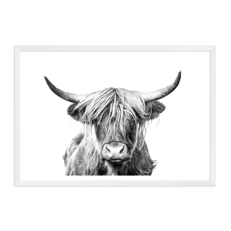 Harper The Highland Cow II-The Paper Tree-animal,black & white,bull,cattle,cow,harper,highland bull,highland cattle,highland cow,landscape,monochrome,nature,premium art print,wall art,Wall_Art,Wall_Art_Prints