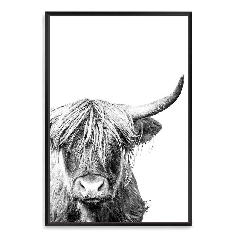 Harper The Highland Cow Portrait-The Paper Tree-animal,black & white,bull,cattle,cow,harper,highland bull,highland cattle,highland cow,monochrome,nature,portrait,premium art print,wall art,Wall_Art,Wall_Art_Prints