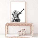 Harper The Highland Cow Portrait-The Paper Tree-animal,black & white,bull,cattle,cow,harper,highland bull,highland cattle,highland cow,monochrome,nature,portrait,premium art print,wall art,Wall_Art,Wall_Art_Prints