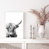 Harper The Highland Cow Portrait-The Paper Tree-animal,black & white,bull,cattle,cow,harper,highland bull,highland cattle,highland cow,monochrome,nature,portrait,premium art print,wall art,Wall_Art,Wall_Art_Prints