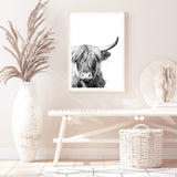 Harper The Highland Cow Portrait-The Paper Tree-animal,black & white,bull,cattle,cow,harper,highland bull,highland cattle,highland cow,monochrome,nature,portrait,premium art print,wall art,Wall_Art,Wall_Art_Prints