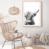 Harper The Highland Cow Portrait-The Paper Tree-animal,black & white,bull,cattle,cow,harper,highland bull,highland cattle,highland cow,monochrome,nature,portrait,premium art print,wall art,Wall_Art,Wall_Art_Prints