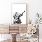 Harper The Highland Cow Portrait-The Paper Tree-animal,black & white,bull,cattle,cow,harper,highland bull,highland cattle,highland cow,monochrome,nature,portrait,premium art print,wall art,Wall_Art,Wall_Art_Prints