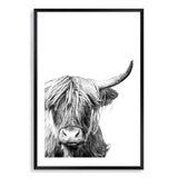 Harper The Highland Cow Portrait-The Paper Tree-animal,black & white,bull,cattle,cow,harper,highland bull,highland cattle,highland cow,monochrome,nature,portrait,premium art print,wall art,Wall_Art,Wall_Art_Prints