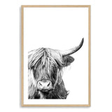 Harper The Highland Cow Portrait-The Paper Tree-animal,black & white,bull,cattle,cow,harper,highland bull,highland cattle,highland cow,monochrome,nature,portrait,premium art print,wall art,Wall_Art,Wall_Art_Prints