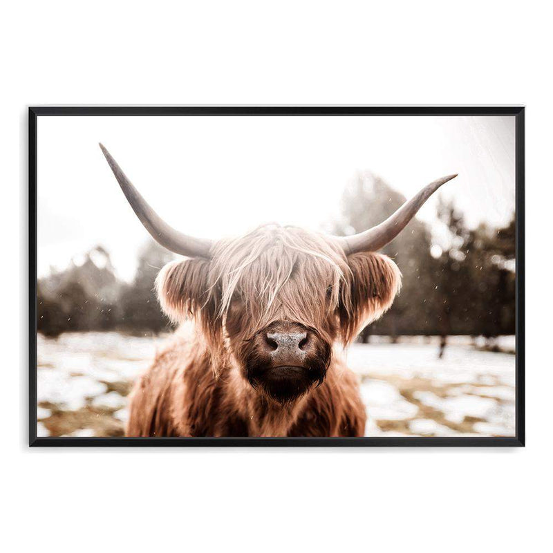 Hudson The Highland Cow-The Paper Tree-animal,boho,bull,cattle,cow,highland bull,highland cattle,highland cow,hudson,landscape,nature,premium art print,TAN,wall art,Wall_Art,Wall_Art_Prints