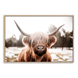 Hudson The Highland Cow-The Paper Tree-animal,boho,bull,cattle,cow,highland bull,highland cattle,highland cow,hudson,landscape,nature,premium art print,TAN,wall art,Wall_Art,Wall_Art_Prints