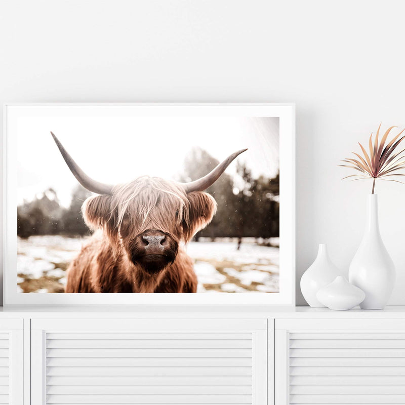 Hudson The Highland Cow-The Paper Tree-animal,boho,bull,cattle,cow,highland bull,highland cattle,highland cow,hudson,landscape,nature,premium art print,TAN,wall art,Wall_Art,Wall_Art_Prints