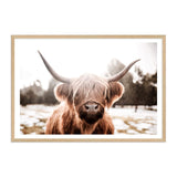 Hudson The Highland Cow-The Paper Tree-animal,boho,bull,cattle,cow,highland bull,highland cattle,highland cow,hudson,landscape,nature,premium art print,TAN,wall art,Wall_Art,Wall_Art_Prints