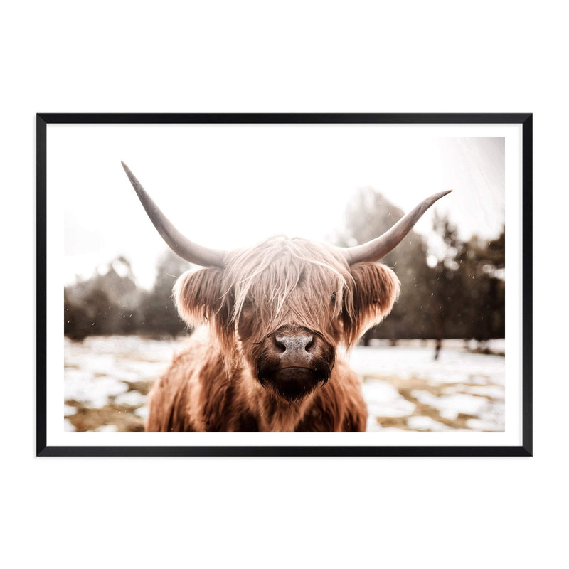 Hudson The Highland Cow-The Paper Tree-animal,boho,bull,cattle,cow,highland bull,highland cattle,highland cow,hudson,landscape,nature,premium art print,TAN,wall art,Wall_Art,Wall_Art_Prints