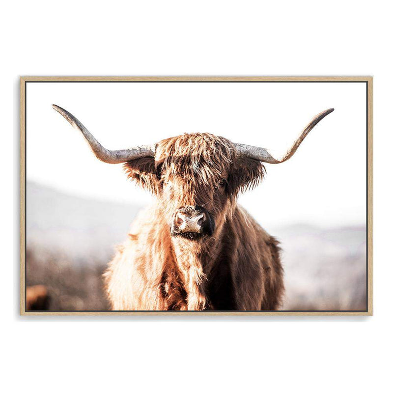 Harrison The Highland Cow-The Paper Tree-animal,bull,cattle,cow,harrison,highland bull,highland cattle,highland cow,landscape,nature,orange,premium art print,TAN,wall art,Wall_Art,Wall_Art_Prints