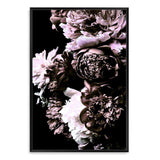 Shaded Florals-The Paper Tree-black,blooms,dark blooms,Designer Floral wall art,Designer Floral Wall art print,Designer Floral Wall Print,dusty pink,Floral,flower,peonies,peonies wall print,portrait,premium art print,PURPLE,wall art,Wall_Art,Wall_Art_Prints