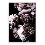 Shaded Florals-The Paper Tree-black,blooms,dark blooms,Designer Floral wall art,Designer Floral Wall art print,Designer Floral Wall Print,dusty pink,Floral,flower,peonies,peonies wall print,portrait,premium art print,PURPLE,wall art,Wall_Art,Wall_Art_Prints