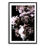 Shaded Florals-The Paper Tree-black,blooms,dark blooms,Designer Floral wall art,Designer Floral Wall art print,Designer Floral Wall Print,dusty pink,Floral,flower,peonies,peonies wall print,portrait,premium art print,PURPLE,wall art,Wall_Art,Wall_Art_Prints