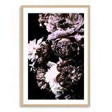 Shaded Florals-The Paper Tree-black,blooms,dark blooms,Designer Floral wall art,Designer Floral Wall art print,Designer Floral Wall Print,dusty pink,Floral,flower,peonies,peonies wall print,portrait,premium art print,PURPLE,wall art,Wall_Art,Wall_Art_Prints