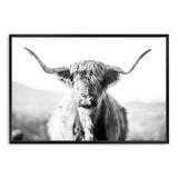 Harrison The Highland Cow II-The Paper Tree-animal,black & white,BLACK AND WHITE,bull,cattle,cow,harrison,highland bull,highland cattle,highland cow,landscape,monochrome,nature,orange,premium art print,wall art,Wall_Art,Wall_Art_Prints