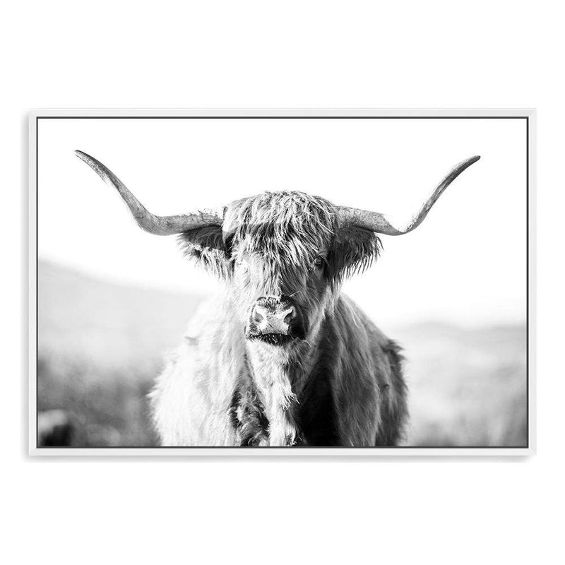 Harrison The Highland Cow II-The Paper Tree-animal,black & white,BLACK AND WHITE,bull,cattle,cow,harrison,highland bull,highland cattle,highland cow,landscape,monochrome,nature,orange,premium art print,wall art,Wall_Art,Wall_Art_Prints