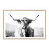 Harrison The Highland Cow II-The Paper Tree-animal,black & white,BLACK AND WHITE,bull,cattle,cow,harrison,highland bull,highland cattle,highland cow,landscape,monochrome,nature,orange,premium art print,wall art,Wall_Art,Wall_Art_Prints