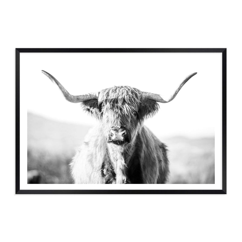 Harrison The Highland Cow II-The Paper Tree-animal,black & white,BLACK AND WHITE,bull,cattle,cow,harrison,highland bull,highland cattle,highland cow,landscape,monochrome,nature,orange,premium art print,wall art,Wall_Art,Wall_Art_Prints