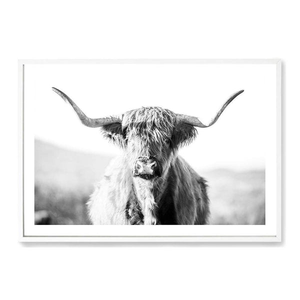 Harrison The Highland Cow II-The Paper Tree-animal,black & white,BLACK AND WHITE,bull,cattle,cow,harrison,highland bull,highland cattle,highland cow,landscape,monochrome,nature,orange,premium art print,wall art,Wall_Art,Wall_Art_Prints