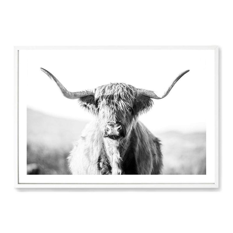 Harrison The Highland Cow II-The Paper Tree-animal,black & white,BLACK AND WHITE,bull,cattle,cow,harrison,highland bull,highland cattle,highland cow,landscape,monochrome,nature,orange,premium art print,wall art,Wall_Art,Wall_Art_Prints