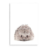 Baby Hedgehog-The Paper Tree-animal,Artwork,baby,cute,hedgehog,kids room,kids wall art,neutral,nursery,nursery decor,portrait,premium art print,wall art,Wall_Art,Wall_Art_Prints