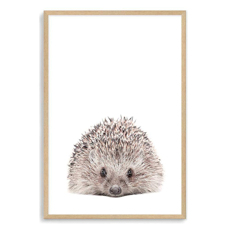 Baby Hedgehog-The Paper Tree-animal,Artwork,baby,cute,hedgehog,kids room,kids wall art,neutral,nursery,nursery decor,portrait,premium art print,wall art,Wall_Art,Wall_Art_Prints