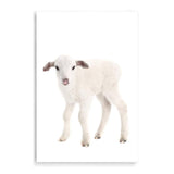 Baby Lamb-The Paper Tree-animal,Artwork,baby,cute,kids room,kids wall art,lamb,neutral,nursery,nursery decor,portrait,premium art print,wall art,Wall_Art,Wall_Art_Prints,white