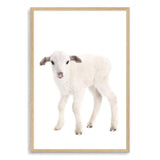 Baby Lamb-The Paper Tree-animal,Artwork,baby,cute,kids room,kids wall art,lamb,neutral,nursery,nursery decor,portrait,premium art print,wall art,Wall_Art,Wall_Art_Prints,white