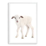 Baby Lamb-The Paper Tree-animal,Artwork,baby,cute,kids room,kids wall art,lamb,neutral,nursery,nursery decor,portrait,premium art print,wall art,Wall_Art,Wall_Art_Prints,white