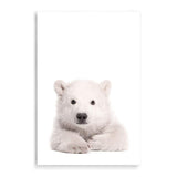 Baby Polar Bear-The Paper Tree-animal,Artwork,baby,bear,cute,kids room,kids wall art,neutral,nursery,nursery decor,polar bear,portrait,premium art print,wall art,Wall_Art,Wall_Art_Prints,white