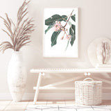 Native Gum Eucalyptus Flower-The Paper Tree-australia,australian,australian native,australiana,floral,flower,flowers,green,gum leaves,gum tree,hamptons,muted tone,native flowers,peach,pink,pink flower,Portrait,premium art print,protea,wall art,Wall_Art,Wall_Art_Prints,waratah,wild flowers