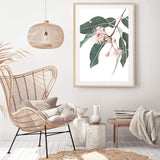 Native Gum Eucalyptus Flower-The Paper Tree-australia,australian,australian native,australiana,floral,flower,flowers,green,gum leaves,gum tree,hamptons,muted tone,native flowers,peach,pink,pink flower,Portrait,premium art print,protea,wall art,Wall_Art,Wall_Art_Prints,waratah,wild flowers