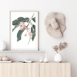 Native Gum Eucalyptus Flower-The Paper Tree-australia,australian,australian native,australiana,floral,flower,flowers,green,gum leaves,gum tree,hamptons,muted tone,native flowers,peach,pink,pink flower,Portrait,premium art print,protea,wall art,Wall_Art,Wall_Art_Prints,waratah,wild flowers