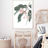 Native Gum Eucalyptus Flower-The Paper Tree-australia,australian,australian native,australiana,floral,flower,flowers,green,gum leaves,gum tree,hamptons,muted tone,native flowers,peach,pink,pink flower,Portrait,premium art print,protea,wall art,Wall_Art,Wall_Art_Prints,waratah,wild flowers