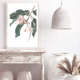 Native Gum Eucalyptus Flower-The Paper Tree-australia,australian,australian native,australiana,floral,flower,flowers,green,gum leaves,gum tree,hamptons,muted tone,native flowers,peach,pink,pink flower,Portrait,premium art print,protea,wall art,Wall_Art,Wall_Art_Prints,waratah,wild flowers