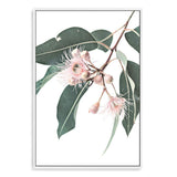 Native Gum Eucalyptus Flower-The Paper Tree-australia,australian,australian native,australiana,floral,flower,flowers,green,gum leaves,gum tree,hamptons,muted tone,native flowers,peach,pink,pink flower,Portrait,premium art print,protea,wall art,Wall_Art,Wall_Art_Prints,waratah,wild flowers