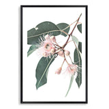 Native Gum Eucalyptus Flower-The Paper Tree-australia,australian,australian native,australiana,floral,flower,flowers,green,gum leaves,gum tree,hamptons,muted tone,native flowers,peach,pink,pink flower,Portrait,premium art print,protea,wall art,Wall_Art,Wall_Art_Prints,waratah,wild flowers