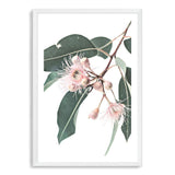 Native Gum Eucalyptus Flower-The Paper Tree-australia,australian,australian native,australiana,floral,flower,flowers,green,gum leaves,gum tree,hamptons,muted tone,native flowers,peach,pink,pink flower,Portrait,premium art print,protea,wall art,Wall_Art,Wall_Art_Prints,waratah,wild flowers