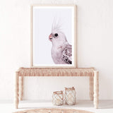 Coco The Cockatiel-The Paper Tree-Artwork,BIRD,Birds,blue bird,blue parrot,budgerigar,budgie,cockatiel,cockatiels,cockatoo,colourful Bird,hamptons,neutral,painted bird,parrot,parrots,portait,premium art print,wall art,Wall_Art,Wall_Art_Prints