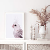 Coco The Cockatiel-The Paper Tree-Artwork,BIRD,Birds,blue bird,blue parrot,budgerigar,budgie,cockatiel,cockatiels,cockatoo,colourful Bird,hamptons,neutral,painted bird,parrot,parrots,portait,premium art print,wall art,Wall_Art,Wall_Art_Prints