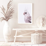 Coco The Cockatiel-The Paper Tree-Artwork,BIRD,Birds,blue bird,blue parrot,budgerigar,budgie,cockatiel,cockatiels,cockatoo,colourful Bird,hamptons,neutral,painted bird,parrot,parrots,portait,premium art print,wall art,Wall_Art,Wall_Art_Prints