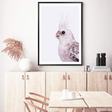 Coco The Cockatiel-The Paper Tree-Artwork,BIRD,Birds,blue bird,blue parrot,budgerigar,budgie,cockatiel,cockatiels,cockatoo,colourful Bird,hamptons,neutral,painted bird,parrot,parrots,portait,premium art print,wall art,Wall_Art,Wall_Art_Prints