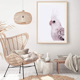 Coco The Cockatiel-The Paper Tree-Artwork,BIRD,Birds,blue bird,blue parrot,budgerigar,budgie,cockatiel,cockatiels,cockatoo,colourful Bird,hamptons,neutral,painted bird,parrot,parrots,portait,premium art print,wall art,Wall_Art,Wall_Art_Prints