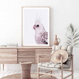 Coco The Cockatiel-The Paper Tree-Artwork,BIRD,Birds,blue bird,blue parrot,budgerigar,budgie,cockatiel,cockatiels,cockatoo,colourful Bird,hamptons,neutral,painted bird,parrot,parrots,portait,premium art print,wall art,Wall_Art,Wall_Art_Prints