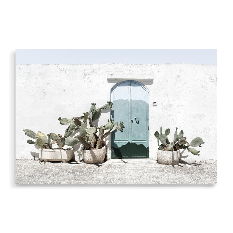 White Cactus House