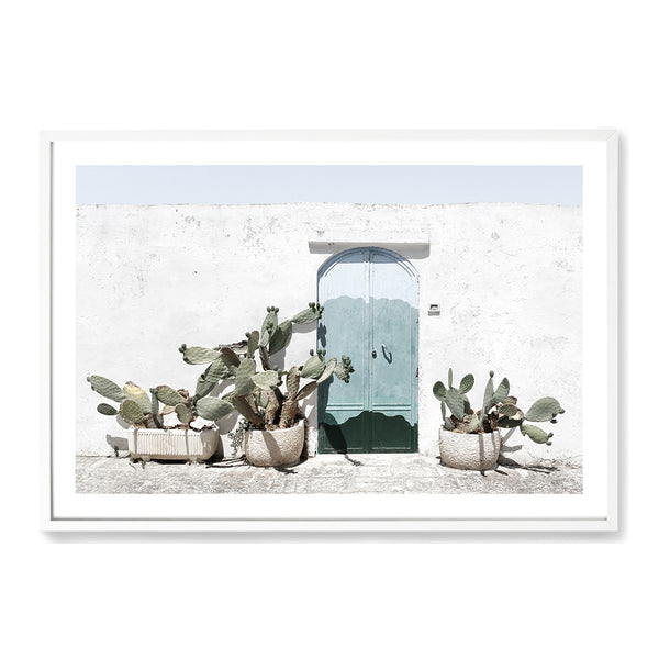 White Cactus House